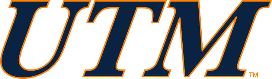 Tennessee-Martin Skyhawks 2007-2017 Wordmark Logo v2 t shirts iron on transfers
